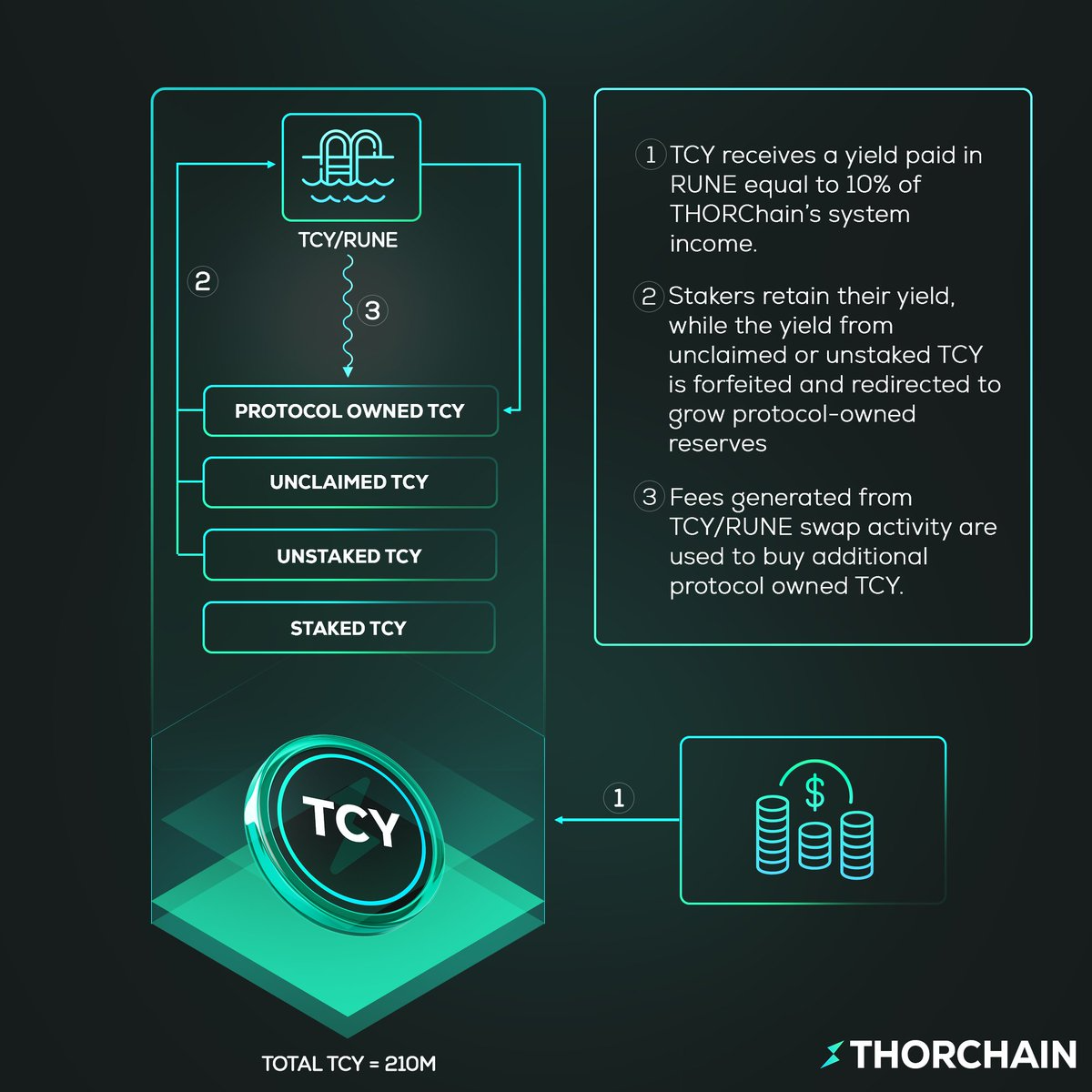 TCY tokenomics infographic